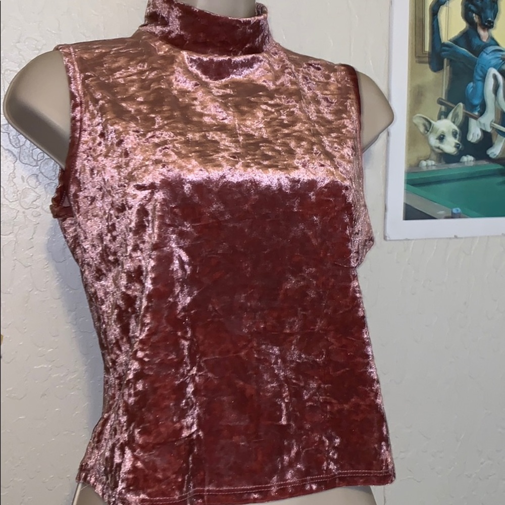 Rose Crushed Velvet Olivia Rae Crop Top